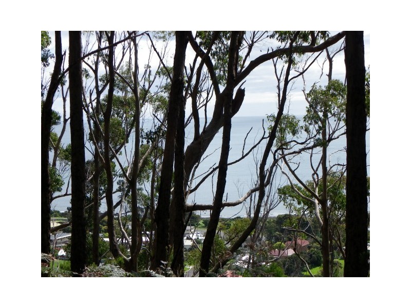 1 Zig Zag Road, Sulphur Creek TAS 7316