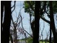 1 Zig Zag Road, Sulphur Creek TAS 7316