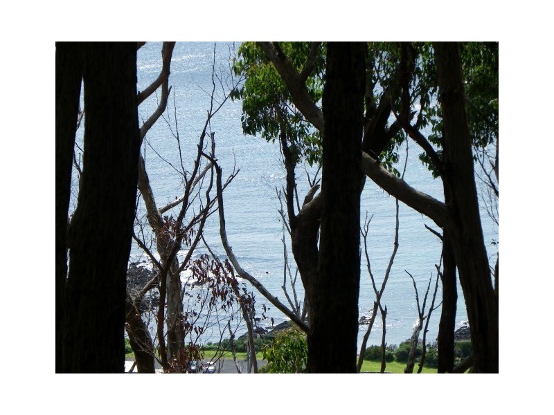1 Zig Zag Road, Sulphur Creek TAS 7316