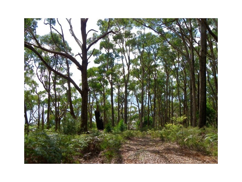 1 Zig Zag Road, Sulphur Creek TAS 7316