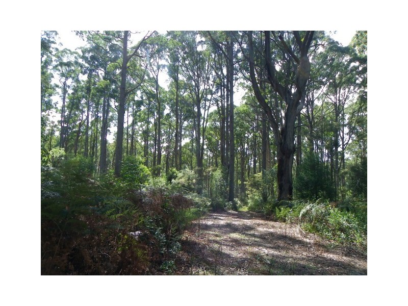 1 Zig Zag Road, Sulphur Creek TAS 7316