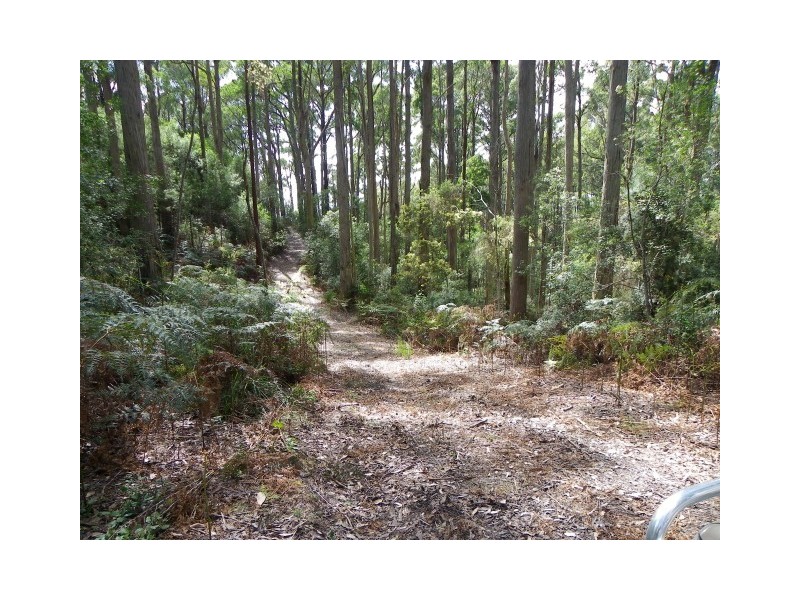 1 Zig Zag Road, Sulphur Creek TAS 7316