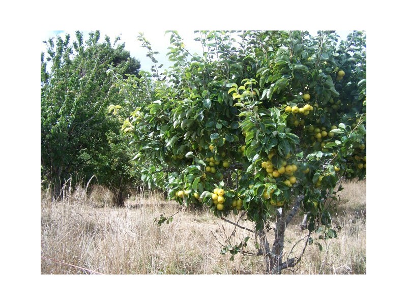 194 Little Village Lane, Somerset TAS 7322