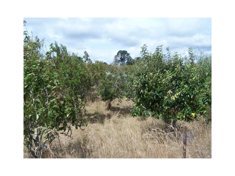 194 Little Village Lane, Somerset TAS 7322