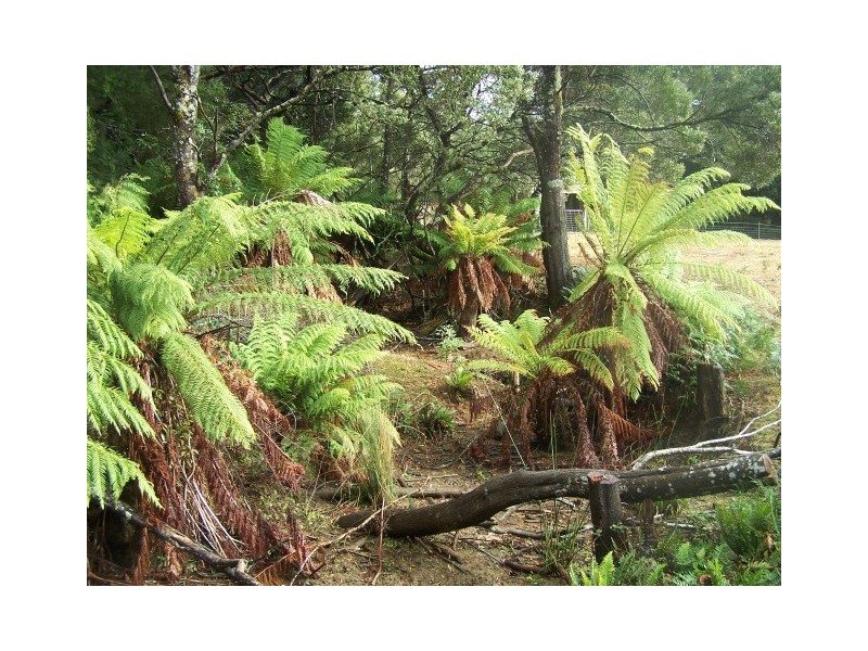 71 Chromys Road, Takone TAS 7325