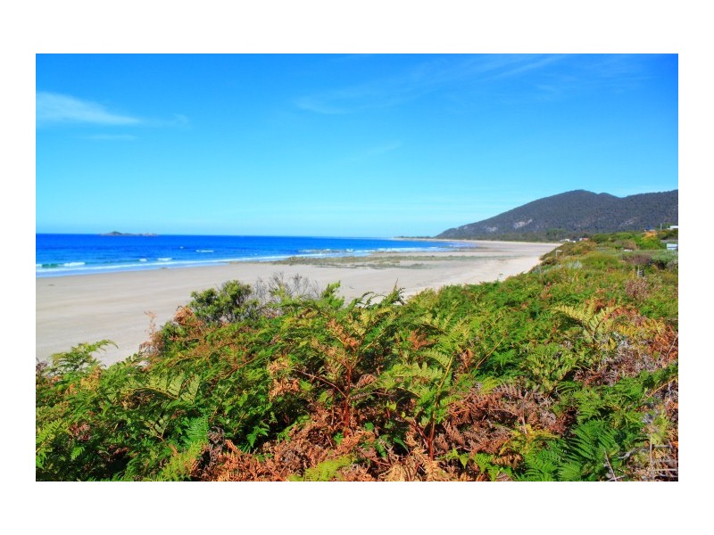 59 Irby Boulevard, Sisters Beach TAS 7321