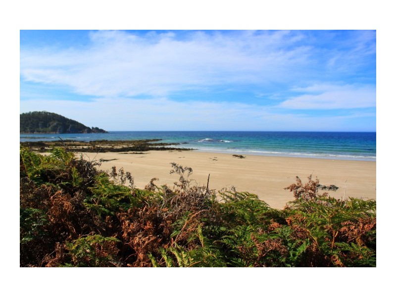 59 Irby Boulevard, Sisters Beach TAS 7321