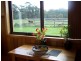 51 Emeraldvale Road, Wynyard TAS 7325