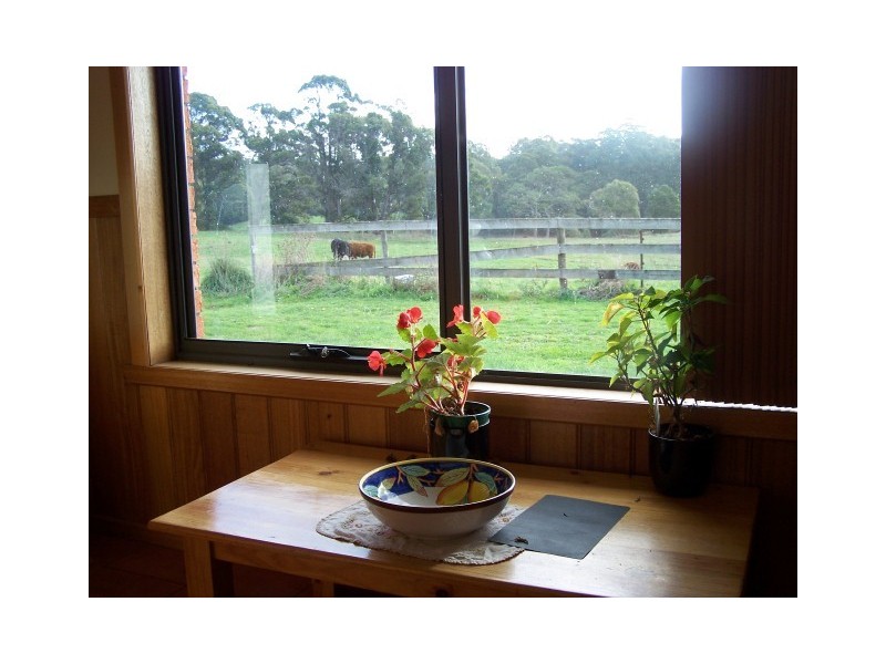 51 Emeraldvale Road, Wynyard TAS 7325