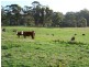 51 Emeraldvale Road, Wynyard TAS 7325
