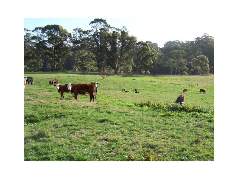 51 Emeraldvale Road, Wynyard TAS 7325