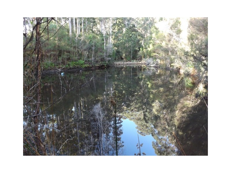 260 Ten Foot Track, Preolenna TAS 7325