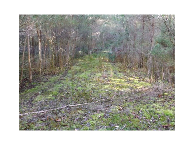 260 Ten Foot Track, Preolenna TAS 7325