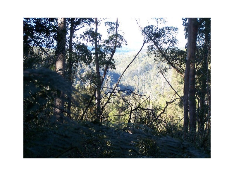 264 East Yolla Road, Yolla TAS 7325