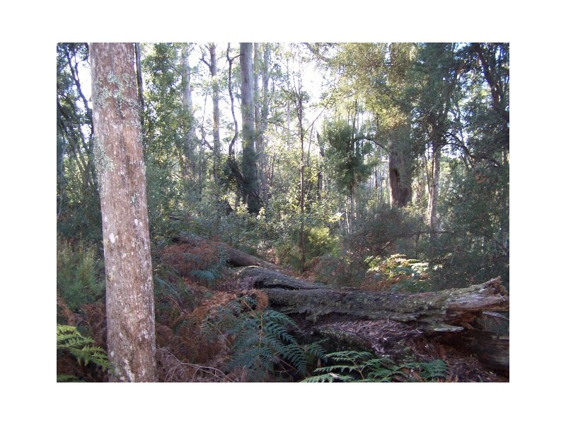 264 East Yolla Road, Yolla TAS 7325