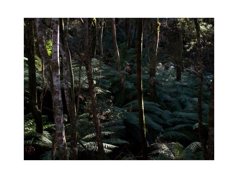 264 East Yolla Road, Yolla TAS 7325