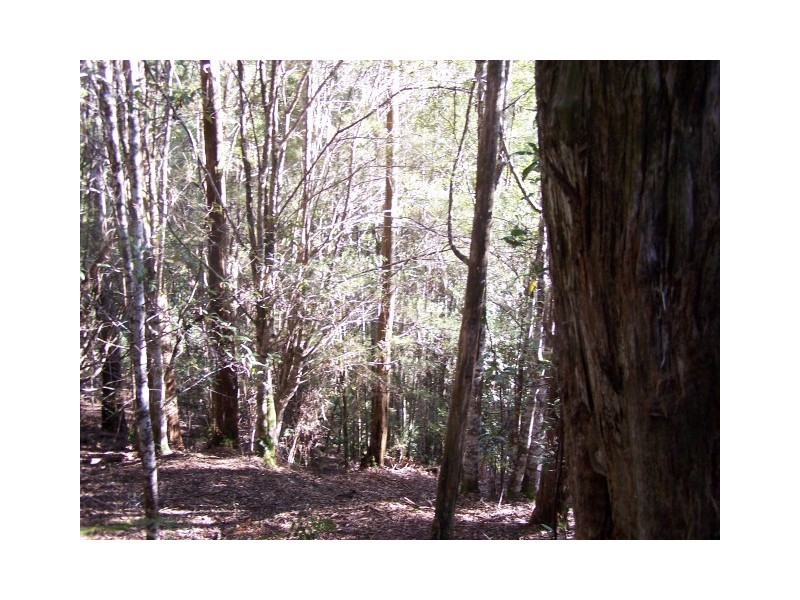 264 East Yolla Road, Yolla TAS 7325