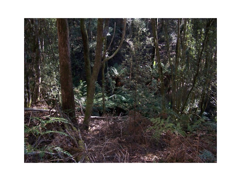 264 East Yolla Road, Yolla TAS 7325