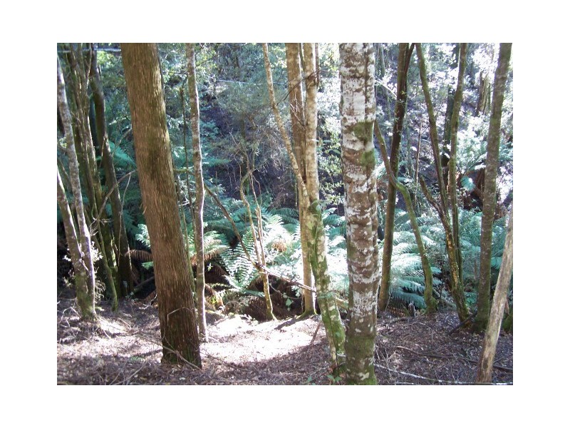 264 East Yolla Road, Yolla TAS 7325