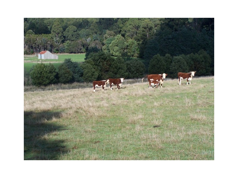 0 Pages Road, Calder TAS 7325