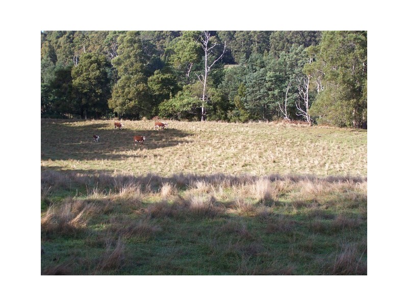 0 Pages Road, Calder TAS 7325