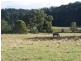 0 Pages Road, Calder TAS 7325