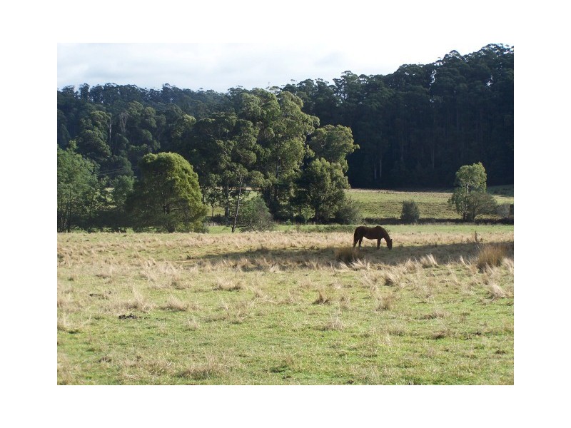 0 Pages Road, Calder TAS 7325
