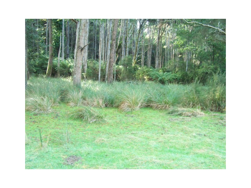 0 Pages Road, Calder TAS 7325