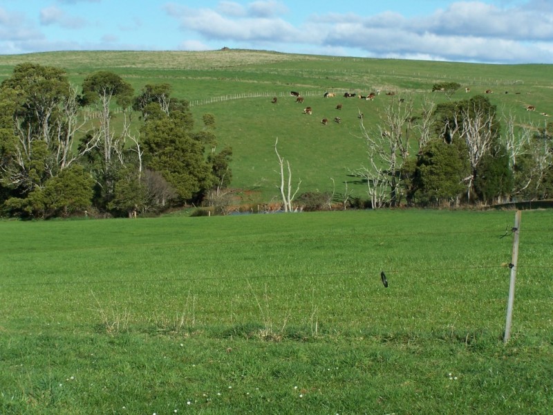 429 Lowries Road, Oldina TAS 7325