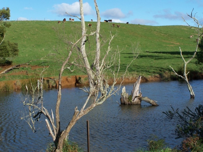 429 Lowries Road, Oldina TAS 7325