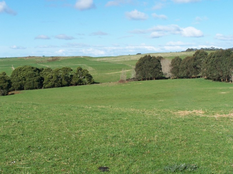 429 Lowries Road, Oldina TAS 7325