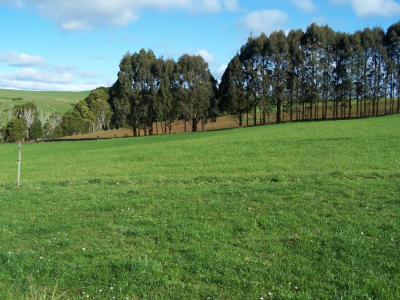 429 Lowries Road, Oldina TAS 7325