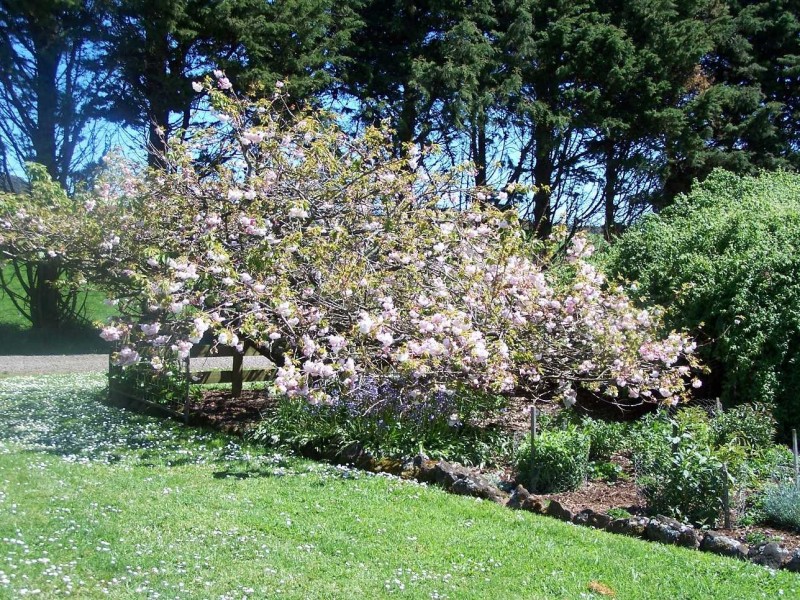 351 Rulla Road, Sisters Creek TAS 7325