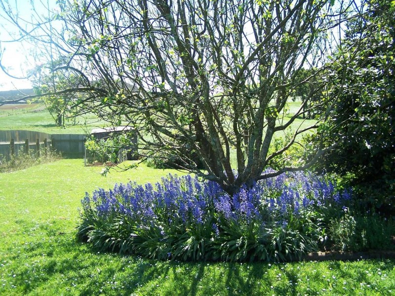 351 Rulla Road, Sisters Creek TAS 7325