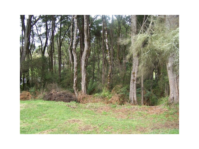 12 Beatties Road, Lapoinya TAS 7325