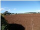 237 Tollymore Road, Table Cape TAS 7325