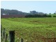 237 Tollymore Road, Table Cape TAS 7325