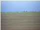 237 Tollymore Road, Table Cape TAS 7325