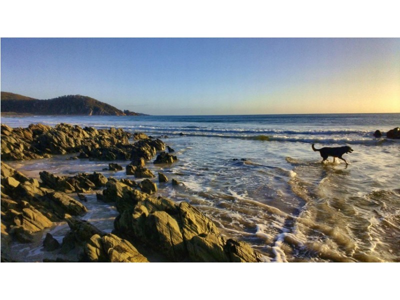 43 Irbys Circus, Sisters Beach TAS 7321