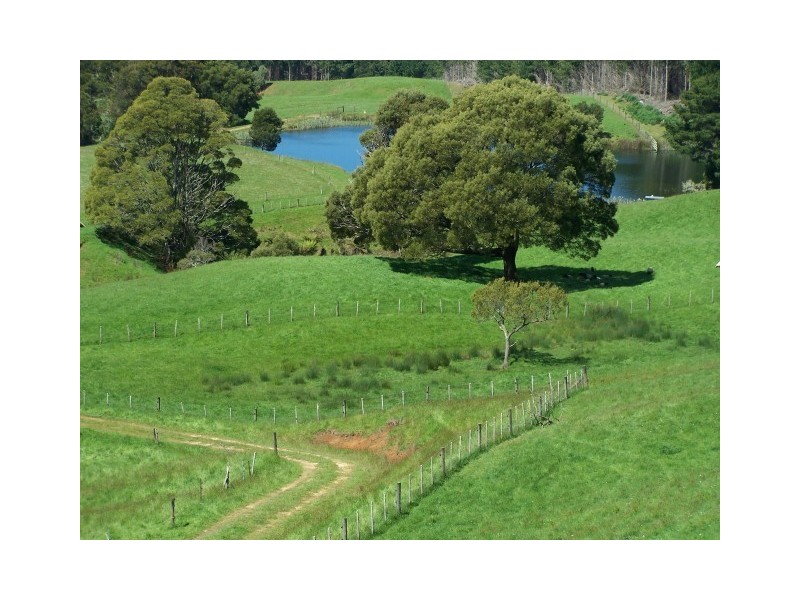 1479 Oldina Road, Oldina TAS 7325