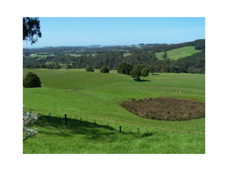 1479 Oldina Road, Oldina TAS 7325