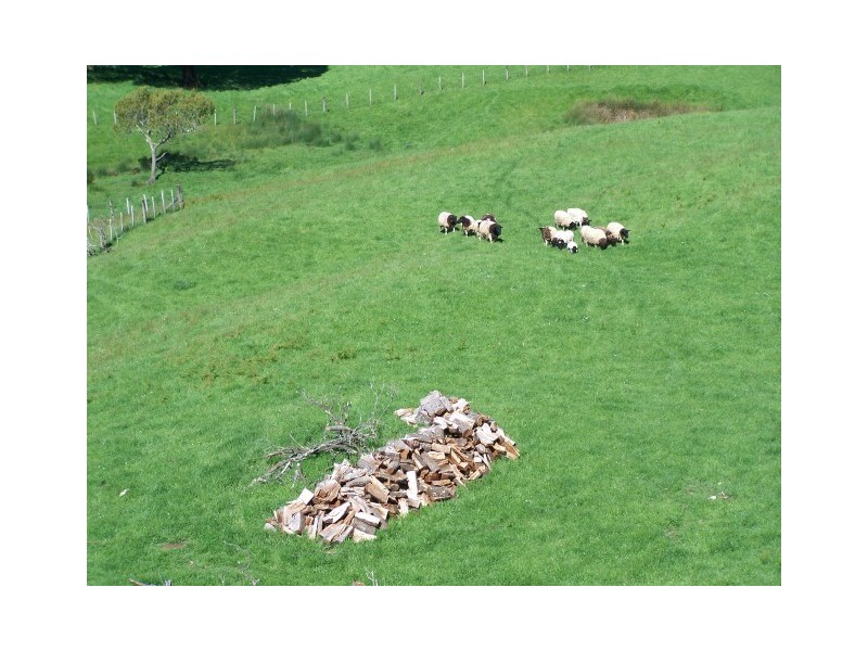 1479 Oldina Road, Oldina TAS 7325