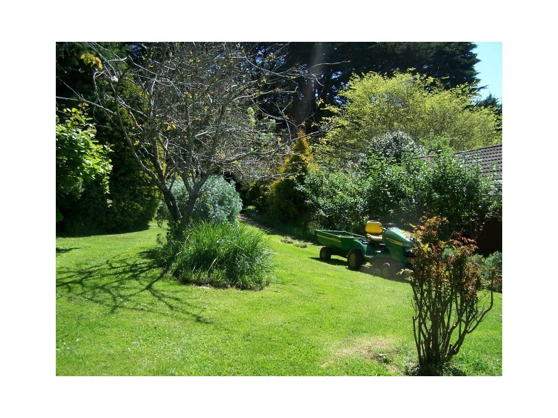 1479 Oldina Road, Oldina TAS 7325