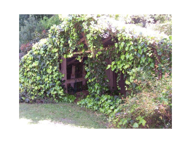 1479 Oldina Road, Oldina TAS 7325