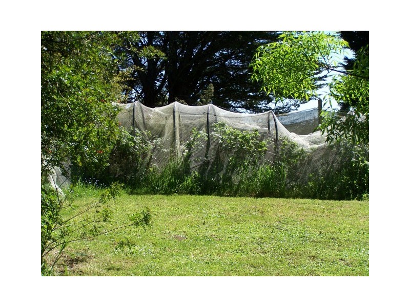 1479 Oldina Road, Oldina TAS 7325