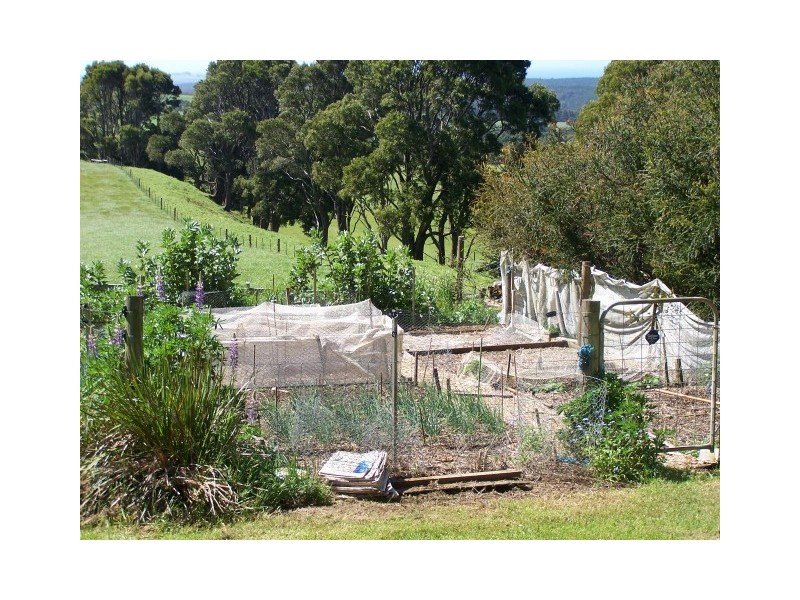 1479 Oldina Road, Oldina TAS 7325