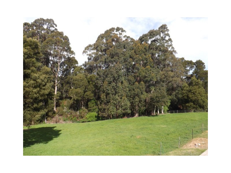 54 Tippetts Road, Mount Hicks TAS 7325