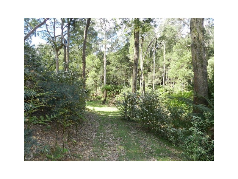 463 Seabrook Road, Somerset TAS 7322