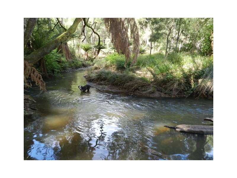 463 Seabrook Road, Somerset TAS 7322