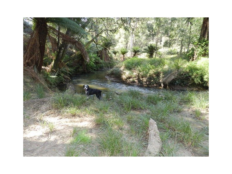 463 Seabrook Road, Somerset TAS 7322